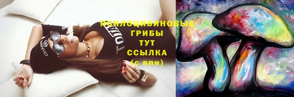 герыч Протвино