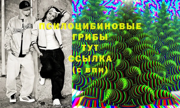 сатива Пролетарск