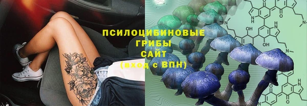 сатива Пролетарск
